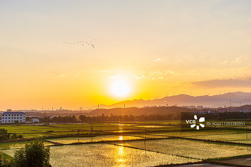 江西新干县，日出霞光万丈图片素材