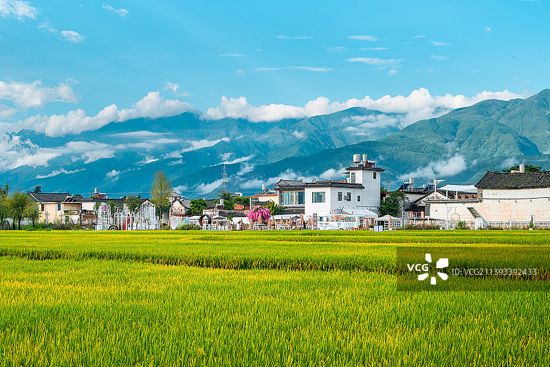 蓝天下的田野风景图片素材