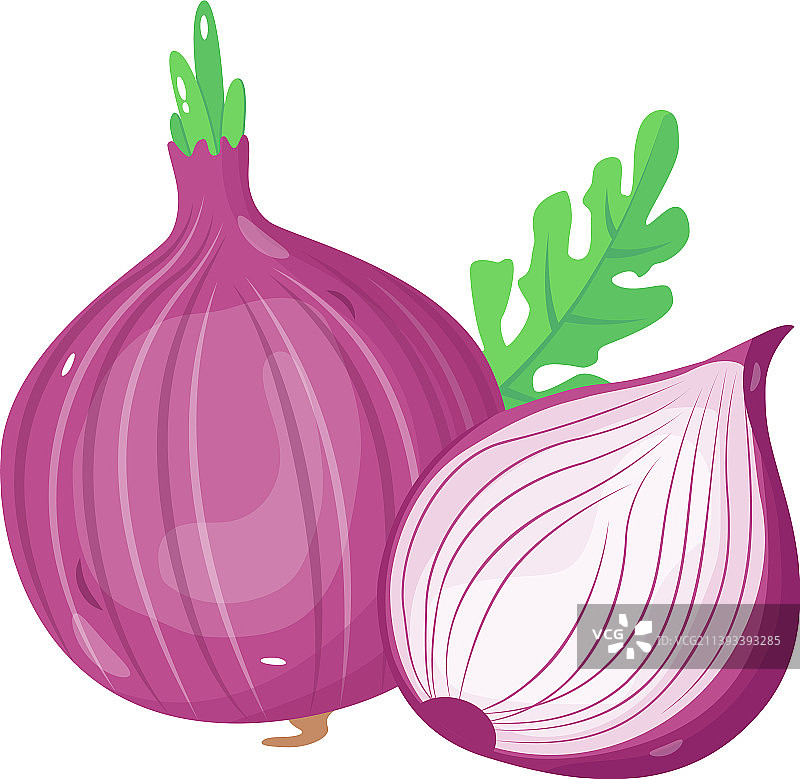 洋葱图片素材