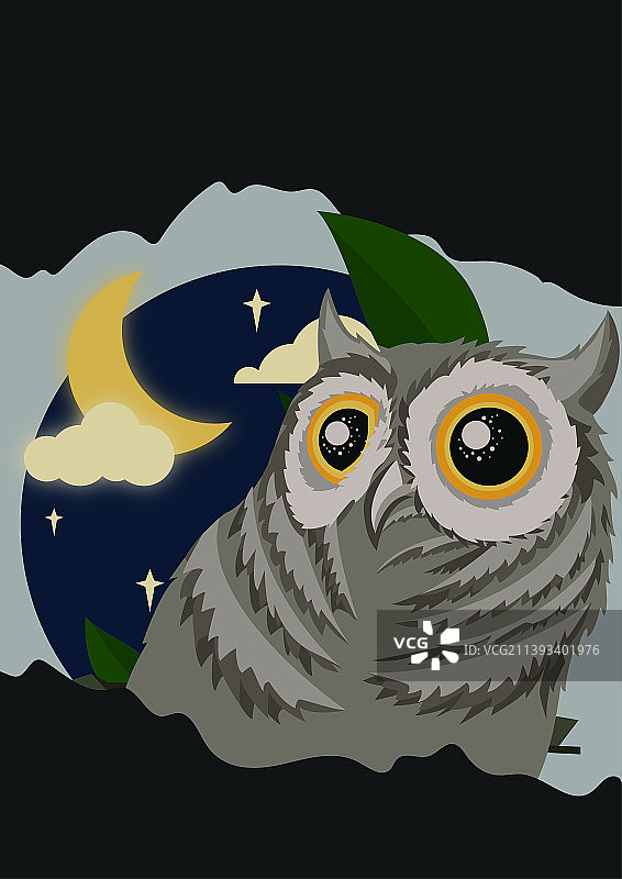 夜晚猫头鹰图片素材