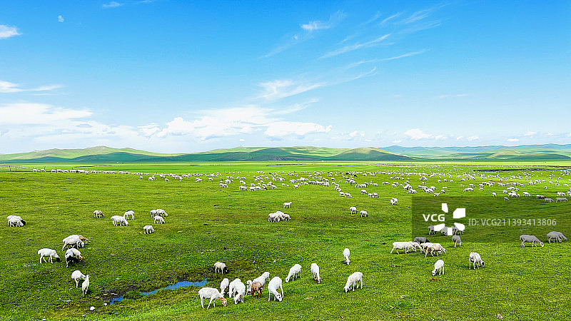 青青草原棉花糖图片素材