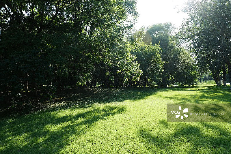 北京奥林匹克森林公园景色图片素材