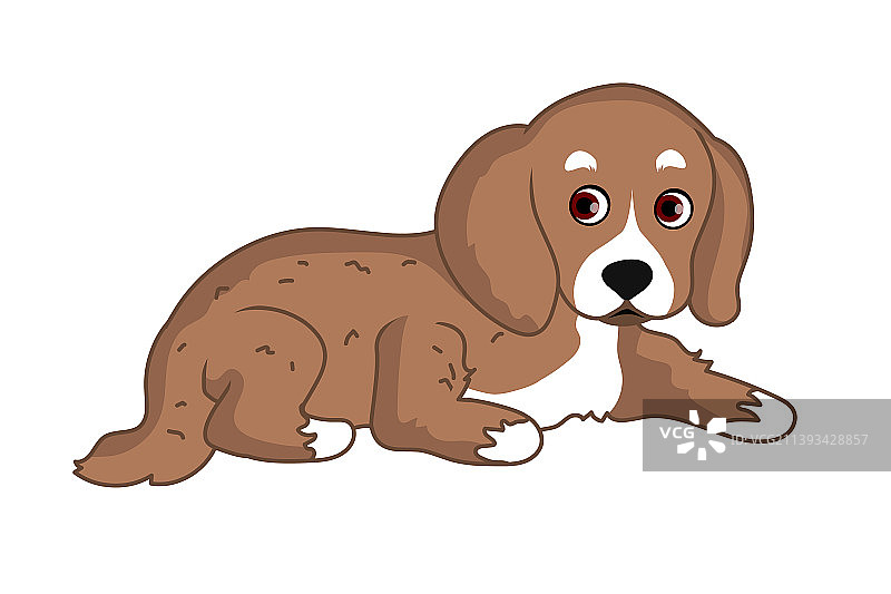 躺在地上的比格犬图片素材