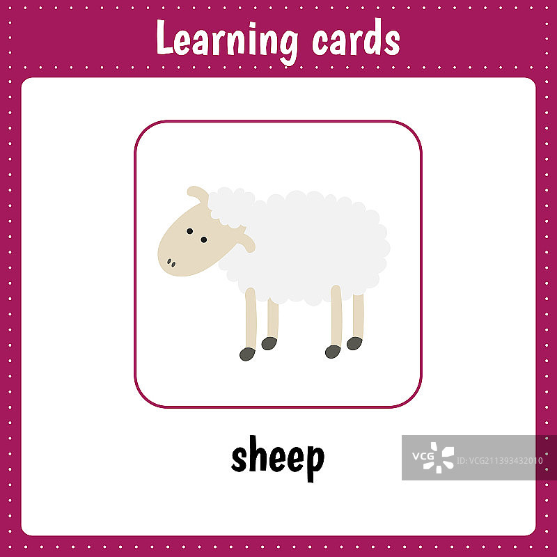 儿童动物学习卡片：绵羊图片素材