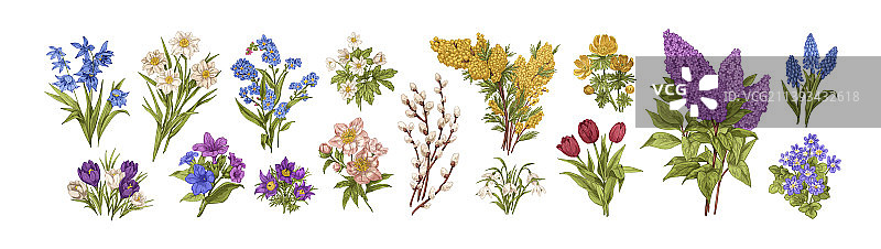 逼真的花卉复古植物素描套装图片素材