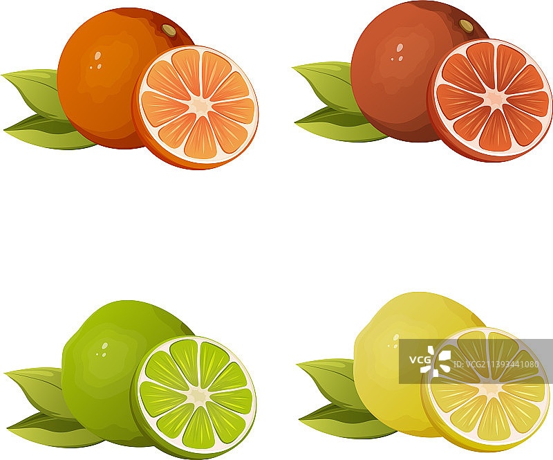 柑橘类水果：橙子、葡萄柚、柠檬、酸橙图片素材