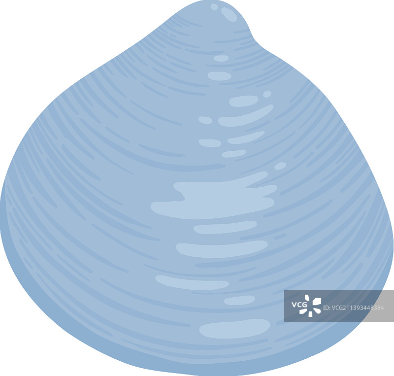 海螺海星水下软体动物图片素材