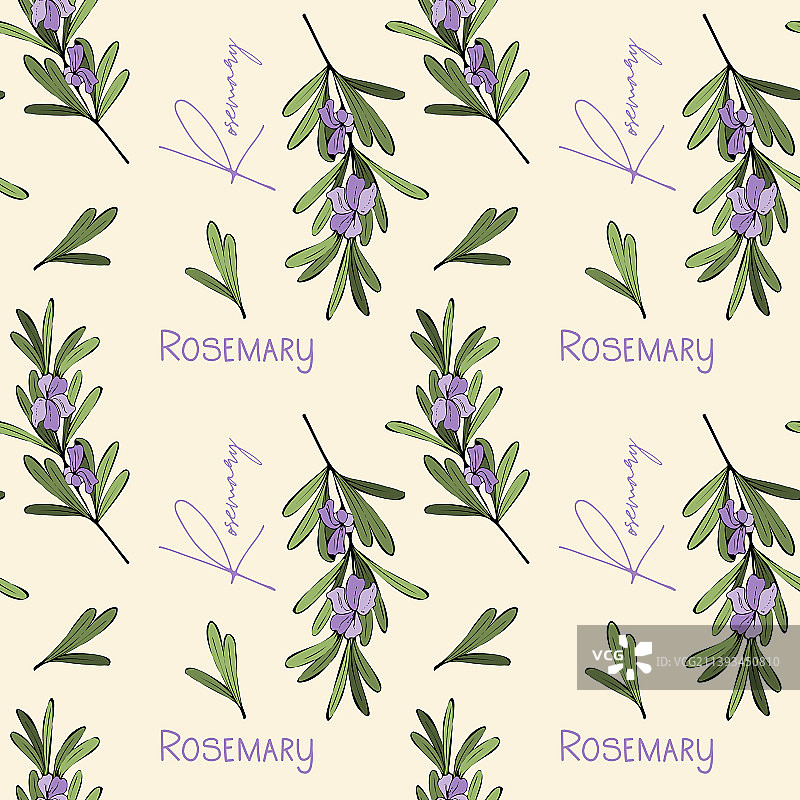 迷迭香花朵与文字图案图片素材