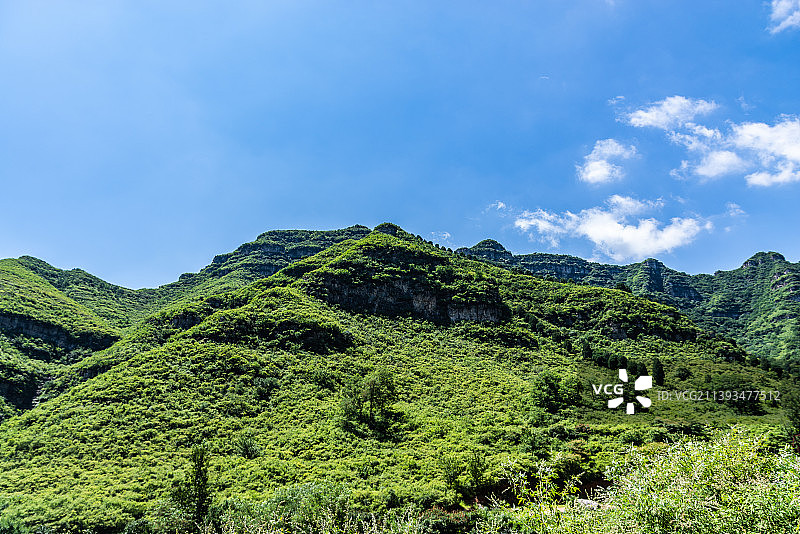 青山耸立，绿木成荫图片素材