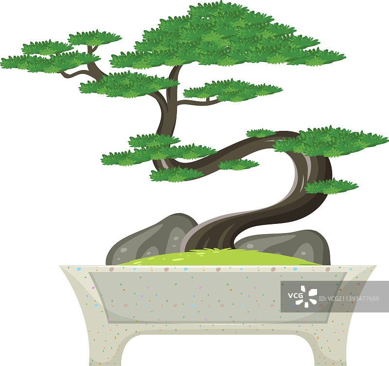 白色背景盆栽图片素材