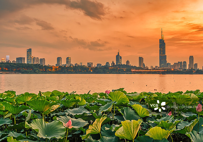 玄武湖日落图片素材