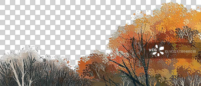 秋天红叶树林图片素材