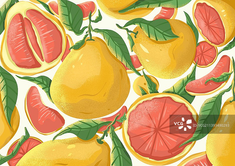 柚子插画设计图片素材