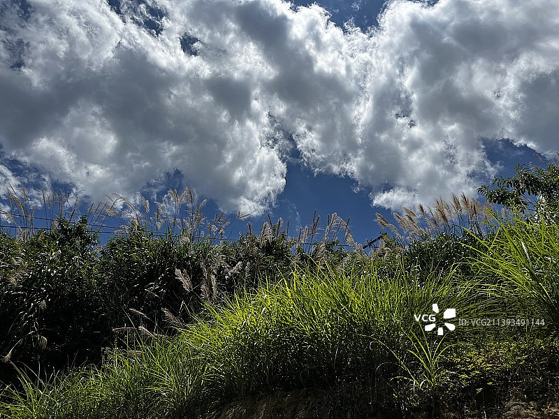 云和梯田图片素材