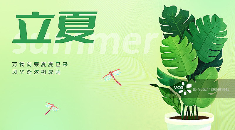 二十四节气之立夏插画绿植盆栽植物图片素材