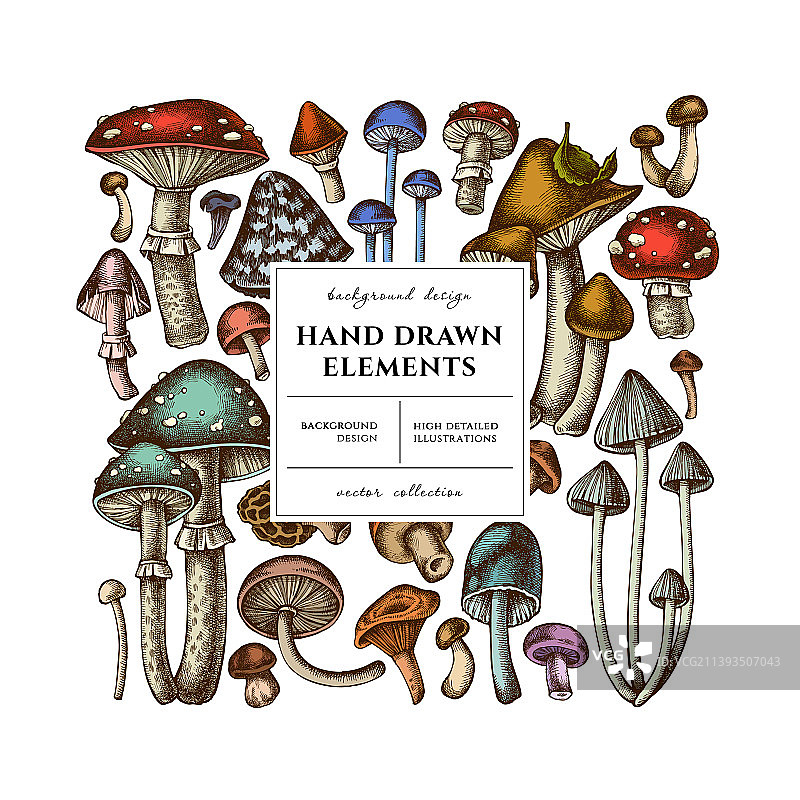 森林蘑菇方形卡片或邀请函设计图片素材