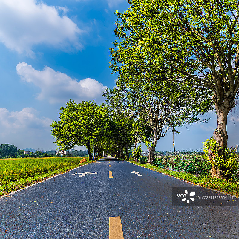 美丽的乡间大道图片素材