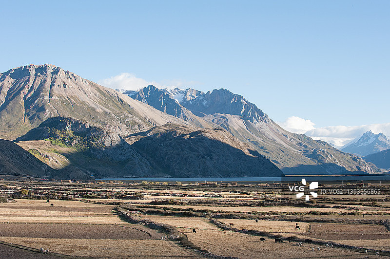 西藏昌都，秋季然乌湖旁的田野风光，背景为连绵的群山图片素材