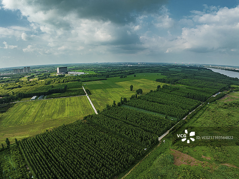 黄河边上的农田图片素材