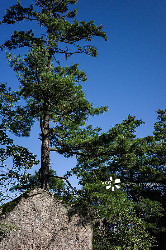河南省洛阳市嵩县5A景区白云山云海图片素材