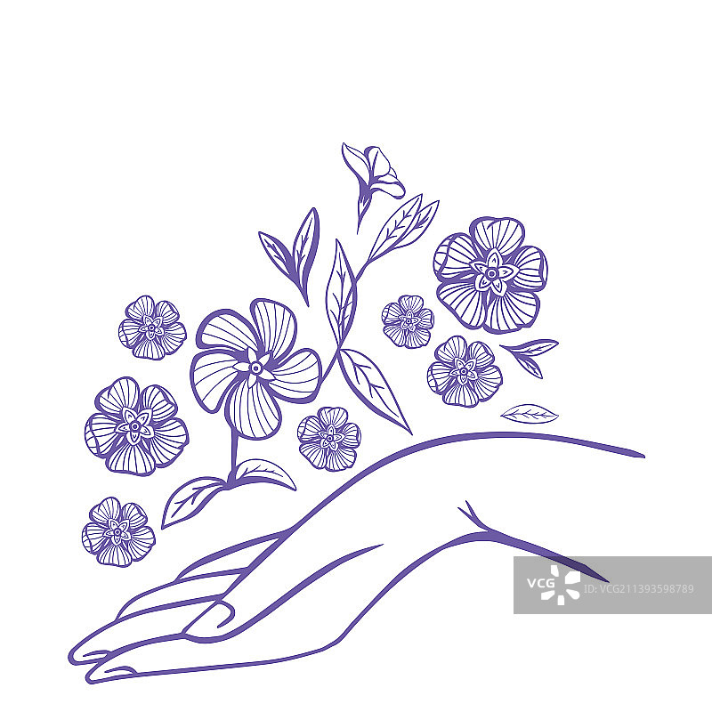 女性手臂上的长春花图片素材