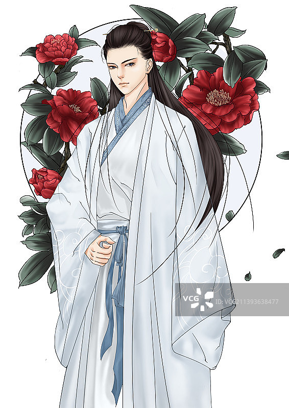 茶花少年图片素材