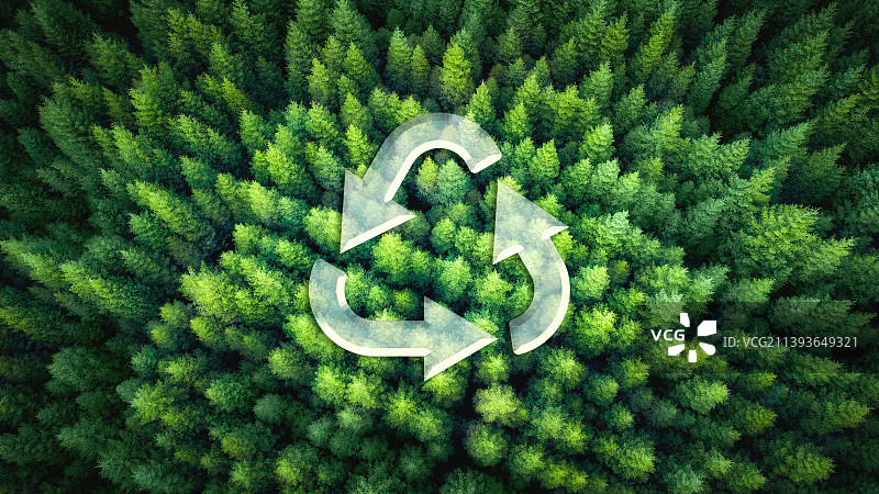 绿色环保森林背景图片素材