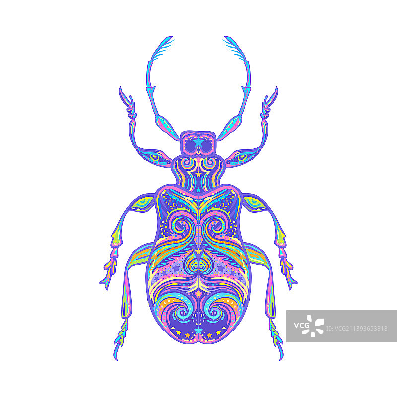 手绘甲壳虫图片素材
