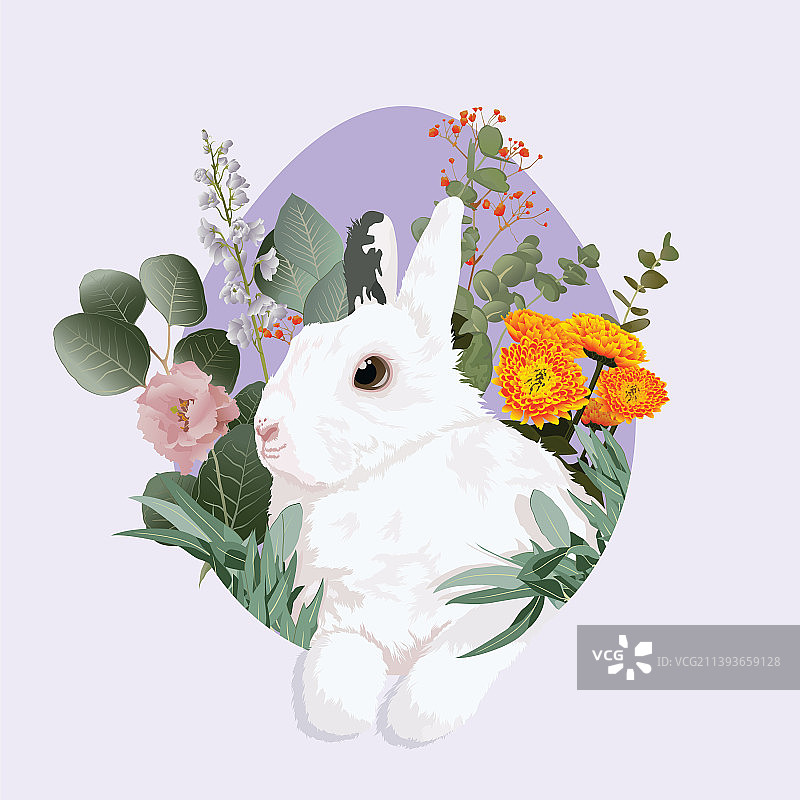 花卉兔子装饰图片素材