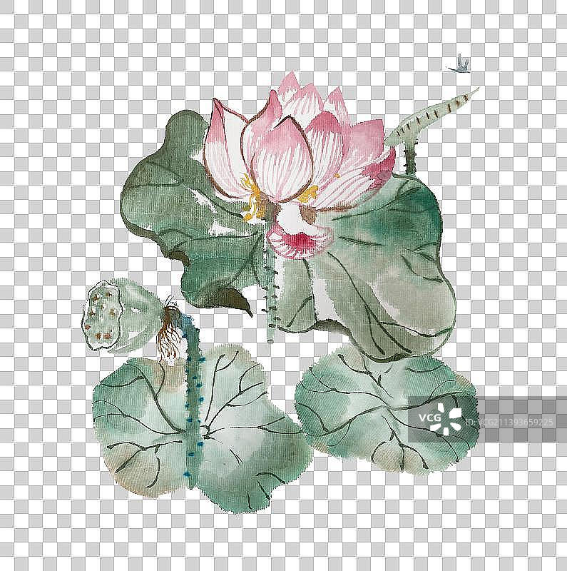荷花水墨元素图片素材