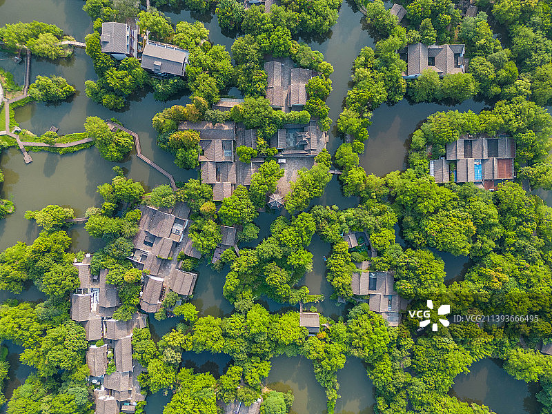 杭州城西西溪湿地图片素材