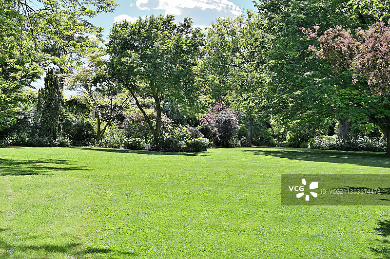 巴德贝灵根田野树木，德国图片素材