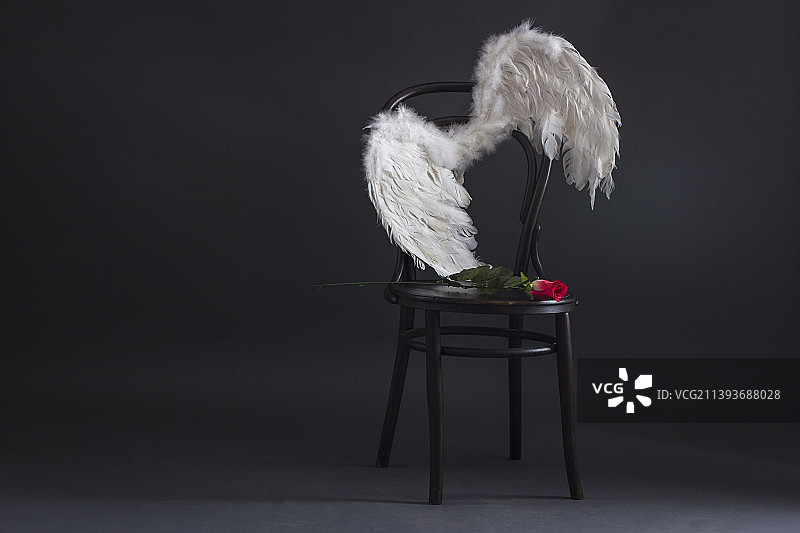 黑色背景下，红色玫瑰椅子上的白色天使翅膀的摄影棚照片图片素材