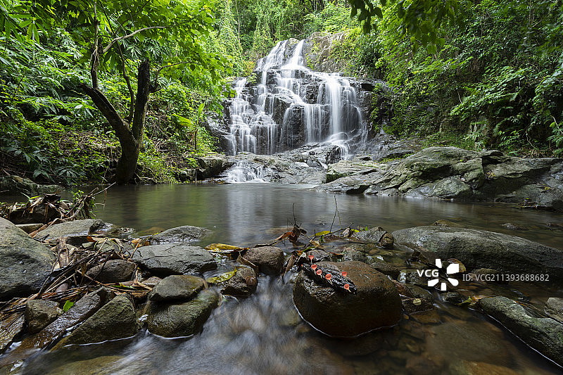 森林中的瀑布风景图片素材