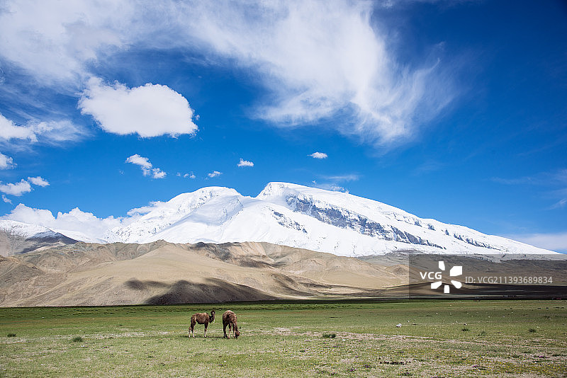 中国新疆公格尔峰，昆仑山脉最高峰，海拔7719米图片素材