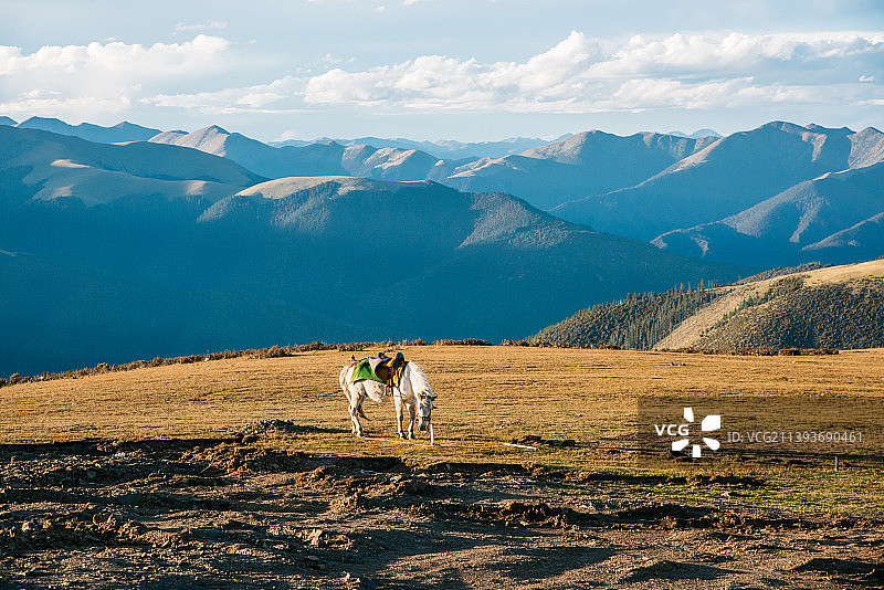 雄伟的康定折多山，被称为“康巴第一关”，是旅行进入藏区的真正关隘图片素材