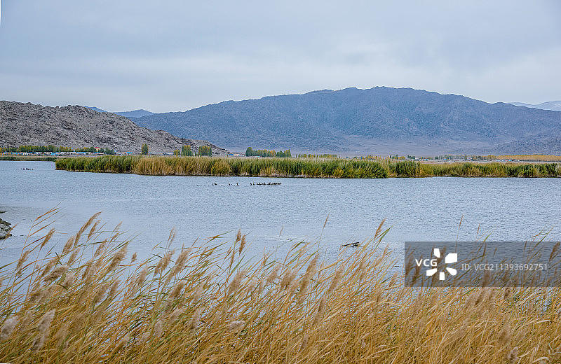 广阔的新疆可可苏里湖湖面图片素材