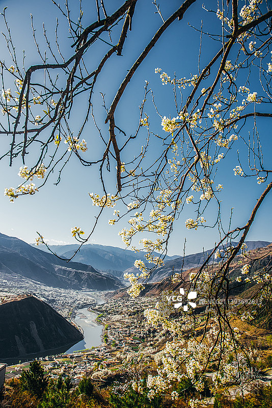 春天梨花盛开的山谷，位于四川阿坝州金川县图片素材