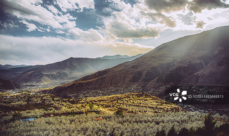 春天梨花盛开的山谷，位于四川阿坝州金川县图片素材