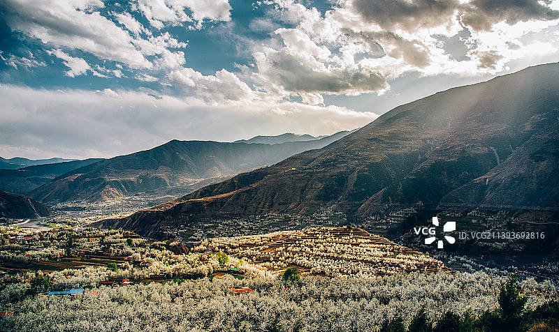 春天梨花盛开的山谷，位于四川阿坝州金川县图片素材