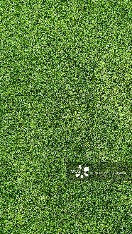 地面用绿色人造草皮图片素材