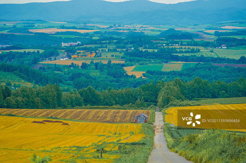 天空衬托下的农田风景图片素材
