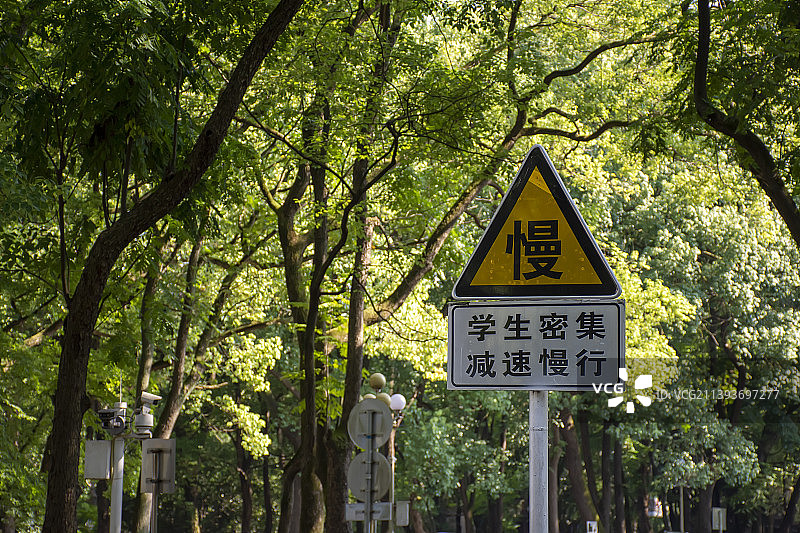 校园中的清新夏日图片素材