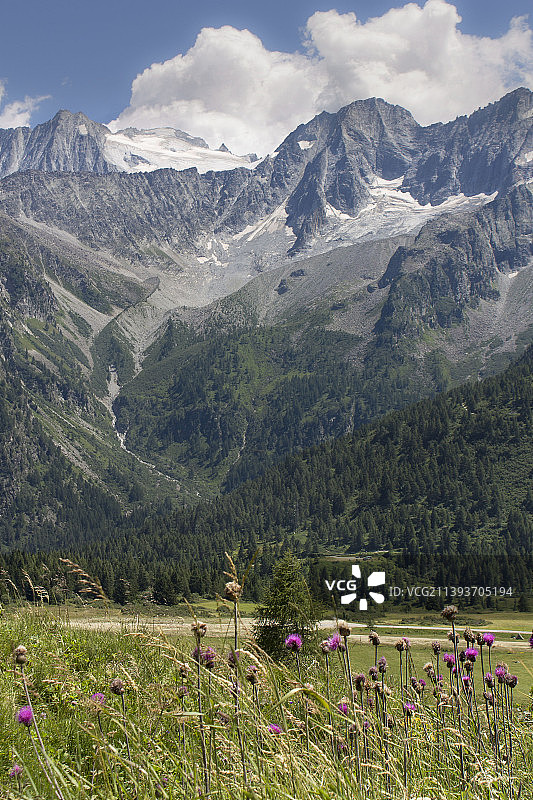 意大利布雷西亚蓬泰迪莱尼奥托纳莱山口的田野和山脉风光图片素材