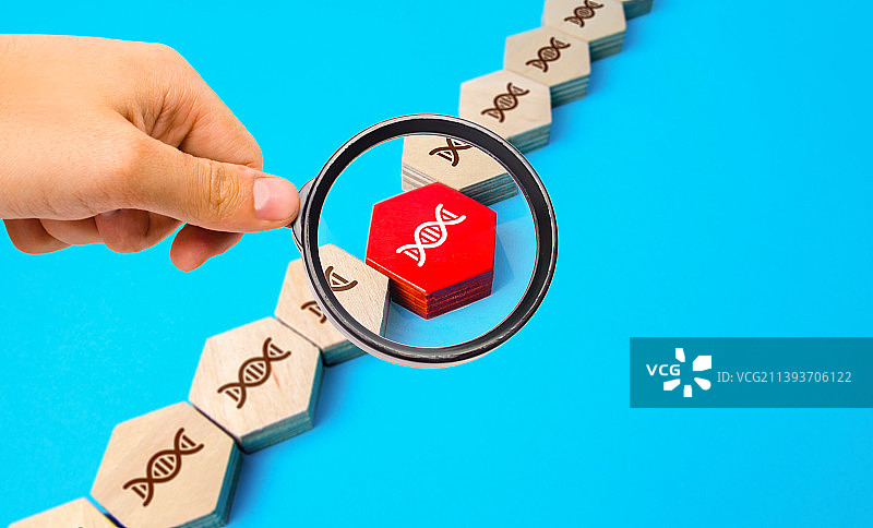 DNA链中的基因研究，乌克兰图片素材