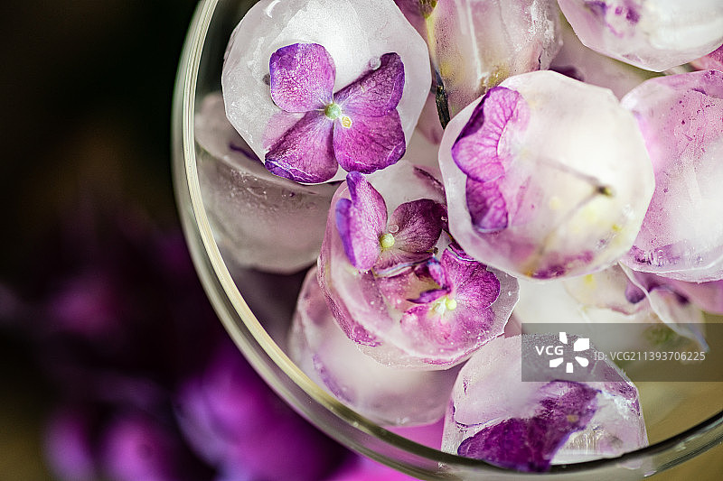 碗中冰块上的紫色碎花特写图片素材