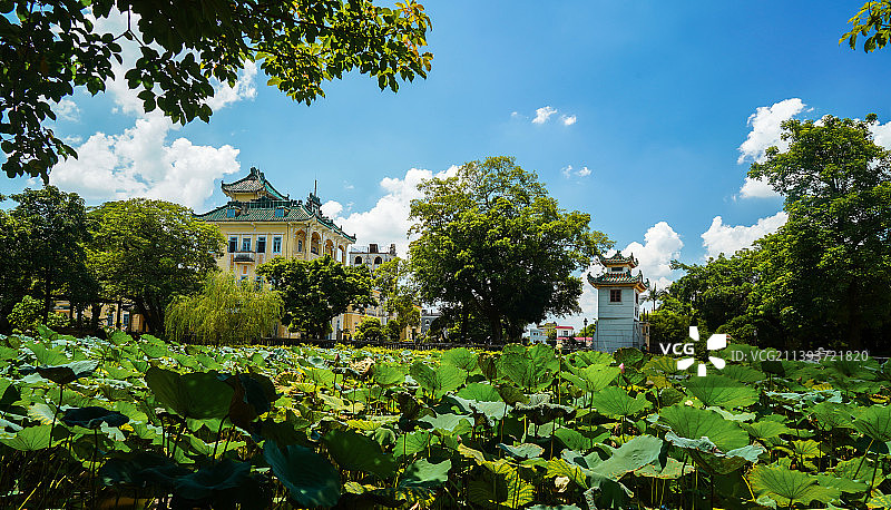 广东江门开平立园碉楼图片素材