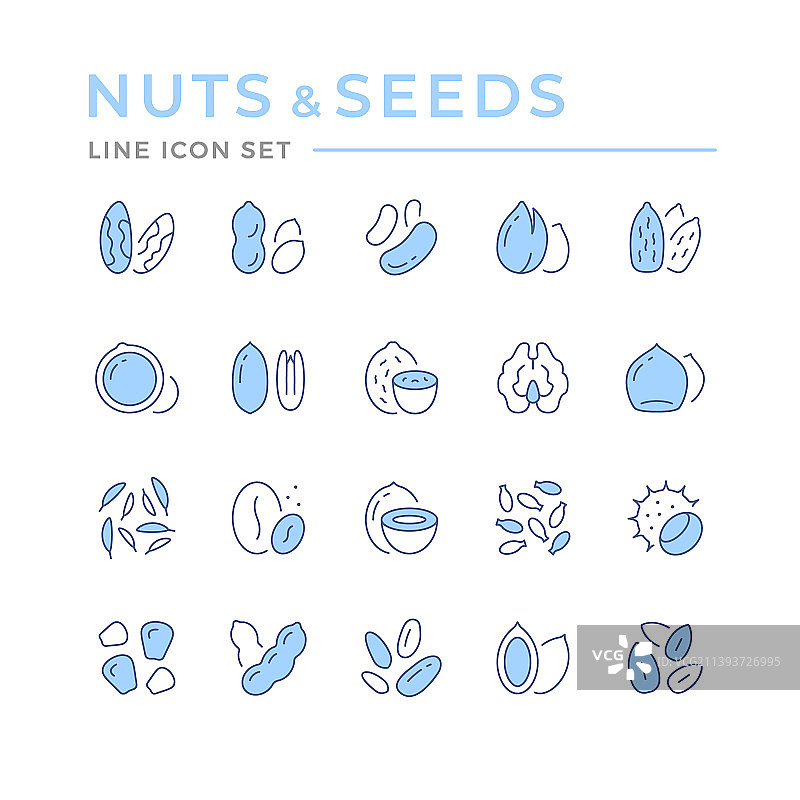 彩色线条图标：坚果和种子图片素材