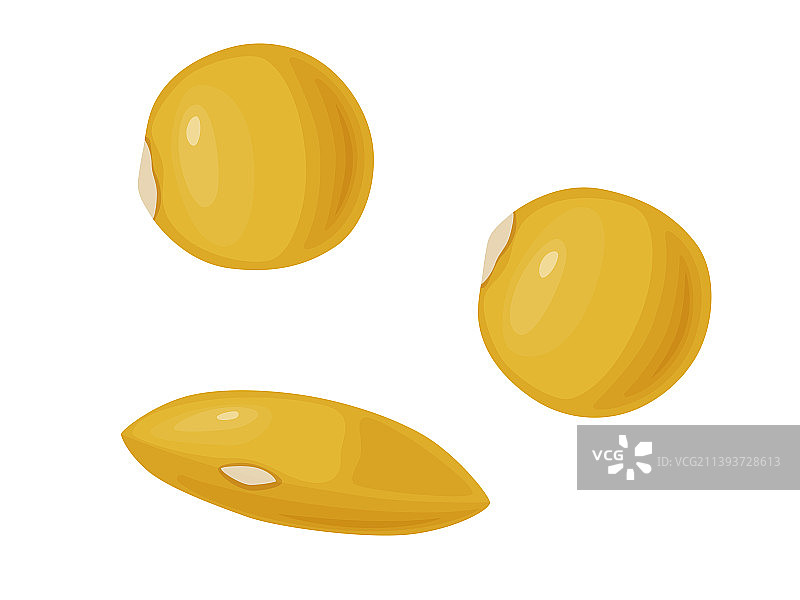 黄色小扁豆图标图片素材