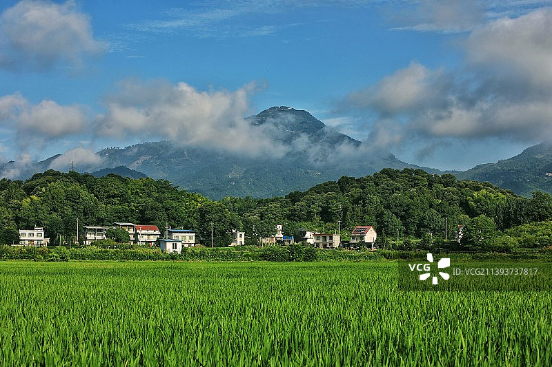桐山晨雾图片素材